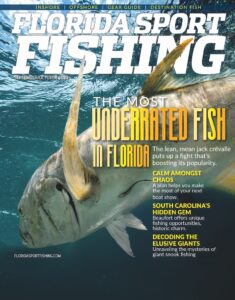 sept oct fsf cover clean